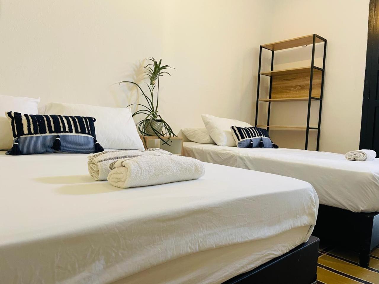 Hostal 1545 Ríohacha Zewnętrze zdjęcie