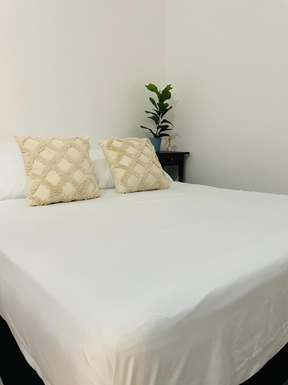 Hostal 1545 Ríohacha Pokój zdjęcie